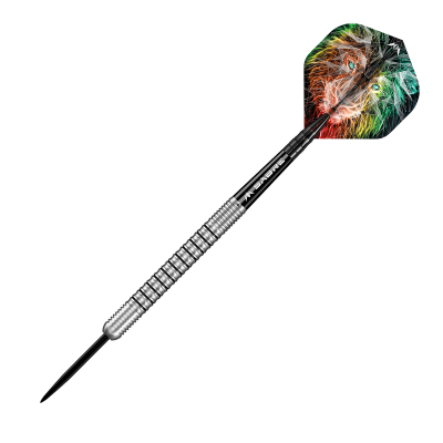 Mission Darts - Dominik Grüllich - 95%
