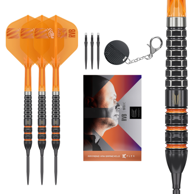 Target Darts - Raymond Van Barneveld - 95K - 95%