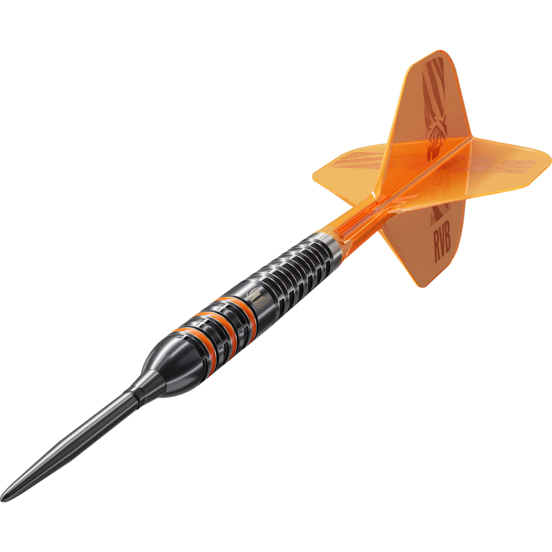 Target Darts - Raymond Van Barneveld - 95K - 95%
