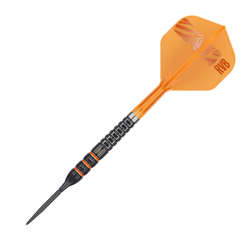 Target Darts - Raymond Van Barneveld - 95K - 95%