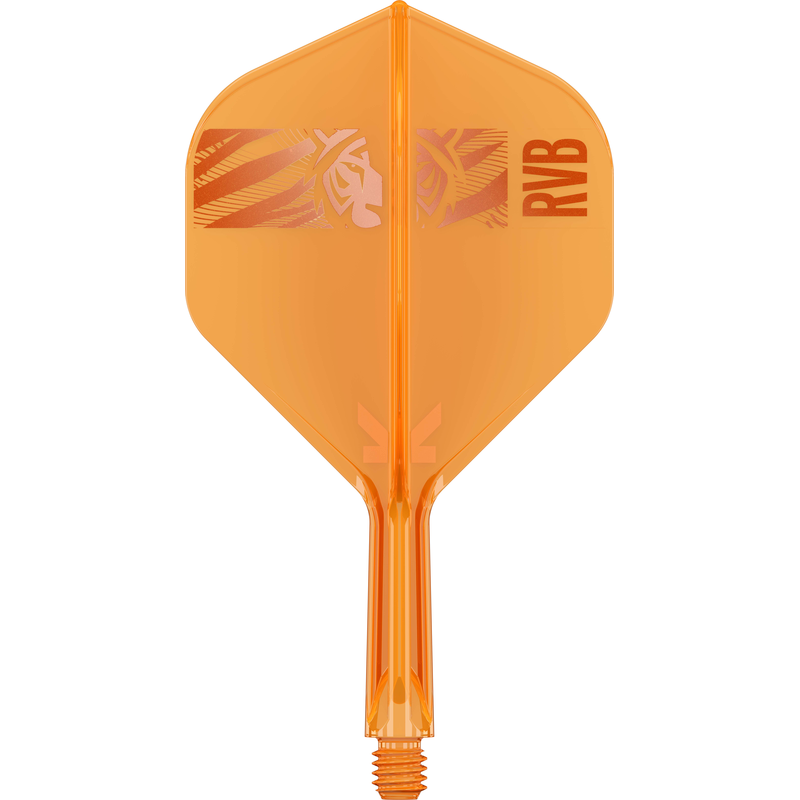 Target Darts - Raymond Van Barneveld - 95K - 95%